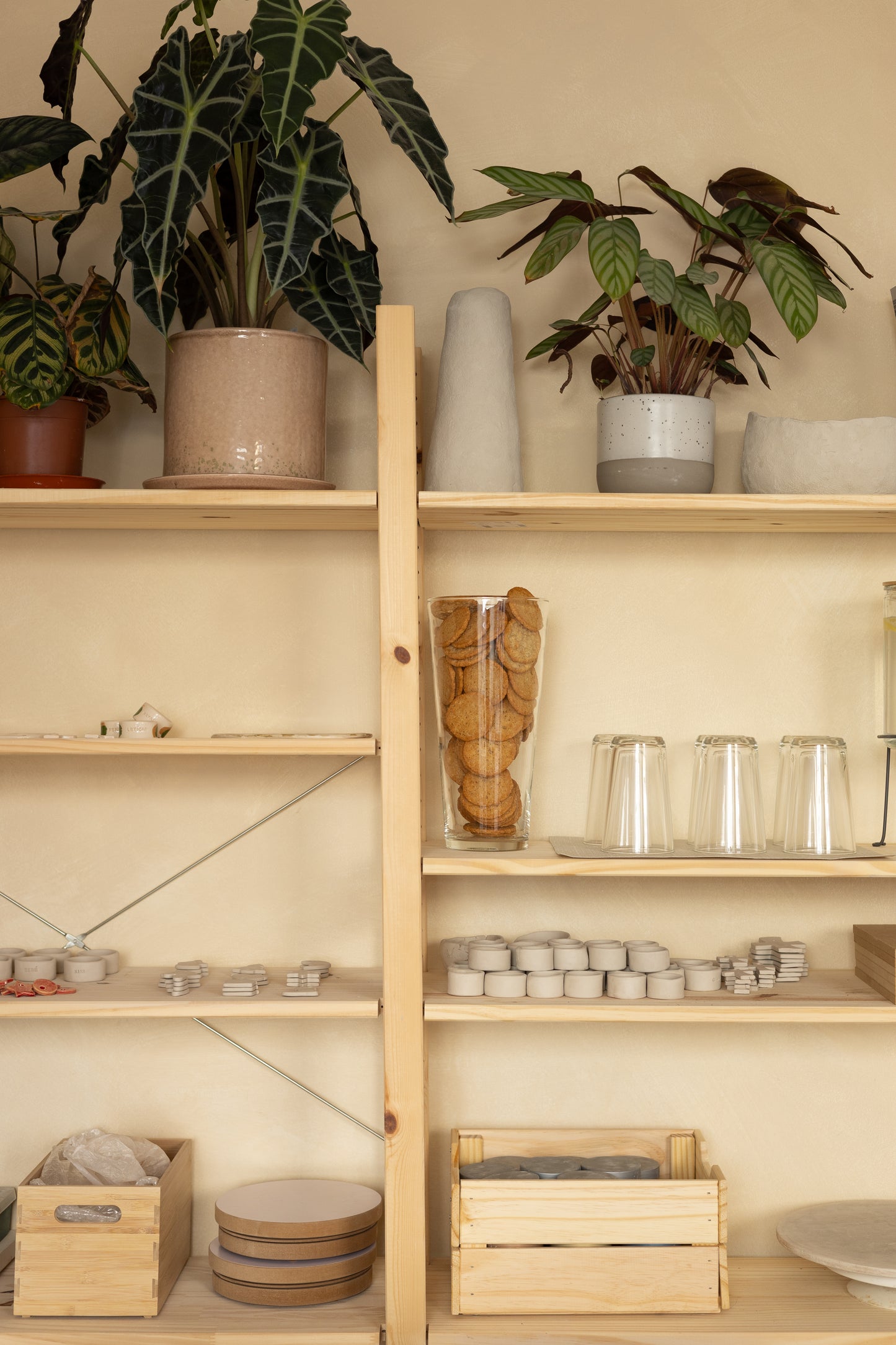 cowork - dia inteiro